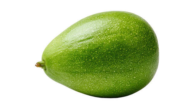 Fresh whole ash gourd with highly detailed realistic pale green waxy skin texture, centered isolated PNG on transparent background