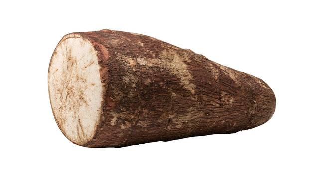 Fresh whole cassava root with realistic brown skin texture, centered isolated PNG on transparent background