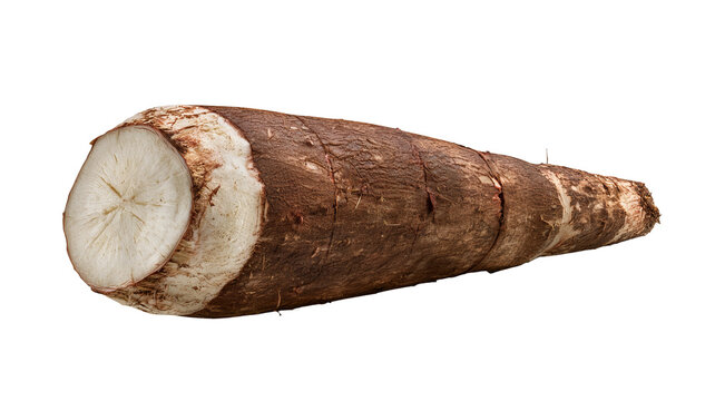 Fresh whole cassava root with realistic brown skin texture, centered isolated PNG on transparent background