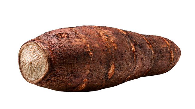 Fresh whole cassava root with realistic brown skin texture, centered isolated PNG on transparent background