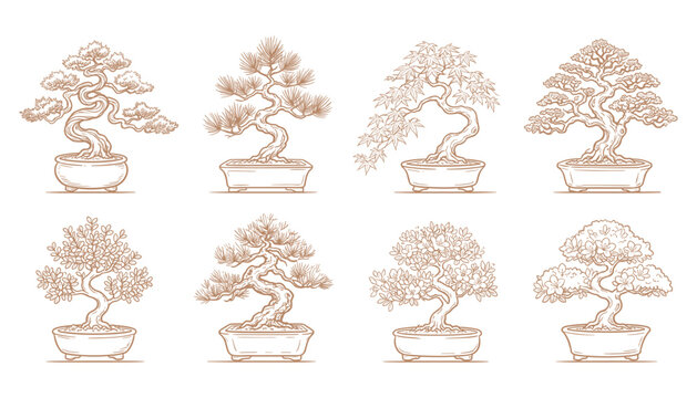 Bonsai trees vector illustration collection showing miniature potted tree sketches for art design.