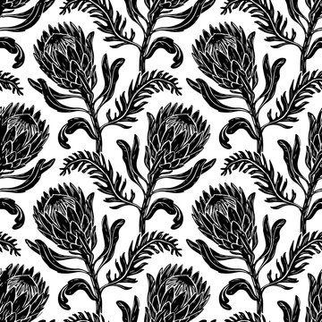 Seamless pattern with black protea flowers and fern leaves on a white background, for textile and, wallpaper surface and decoration