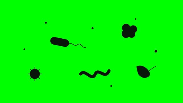 Microscopic view of various bacteria and microorganisms on a green background.