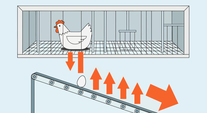 White chicken in industrial farming conveyor system diagram.