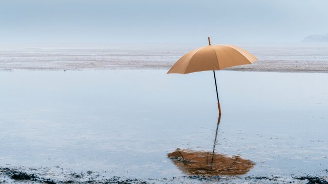 Lonely Orange Umbrella Standing in Calm Water with Soft Misty Background and Reflection in Tranquil Scene of Nature's Serenity