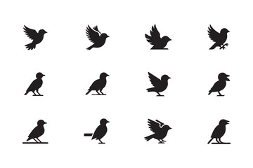 Naklejka premium Bird Species Silhouette Collection with Different Poses