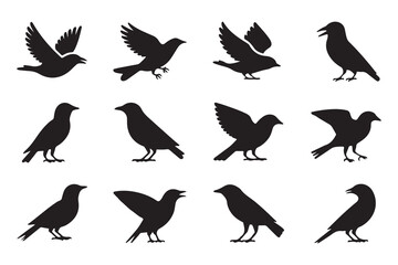 Naklejka premium Avian Wildlife Silhouette Set with Flying Birds