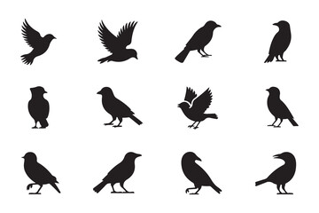 Naklejka premium Flying Bird Black Silhouette Collection