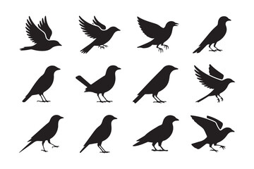 Naklejka premium Flying and Standing Bird Silhouette Collection