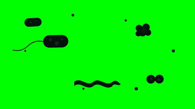 Microscopic view of various bacteria and microorganisms on a vibrant green screen background.