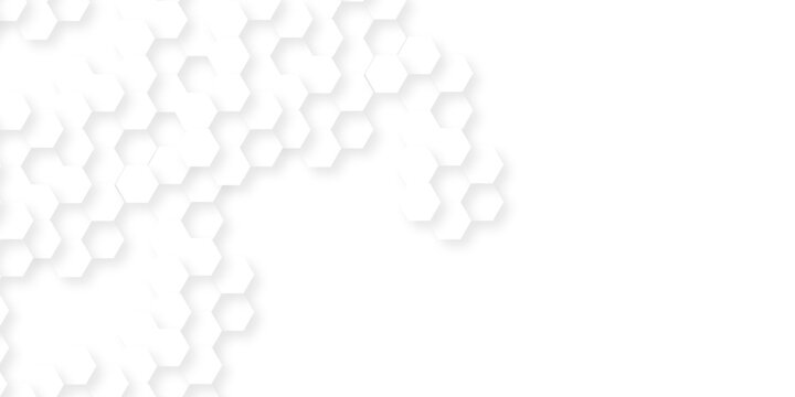 Background with hexagons . Abstract background with lines . white texture background . hexagon abstract background. Surface polygon pattern with glowing hexagon paper texture and futuristic business