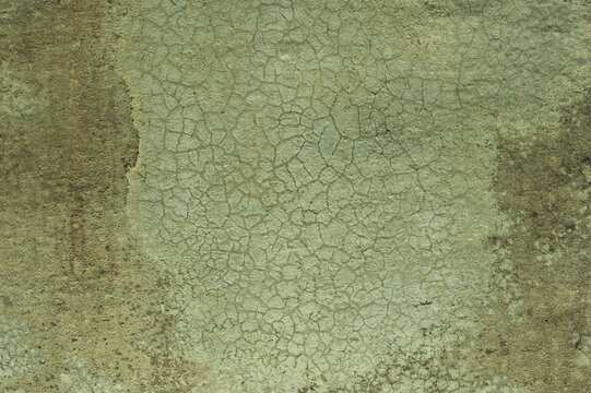Cracked Earthy Green Surface Background