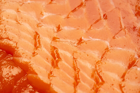 fresh salmon sashimi slices with beautiful fat marble texture background