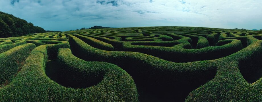 Lush green hedges form a vast maze