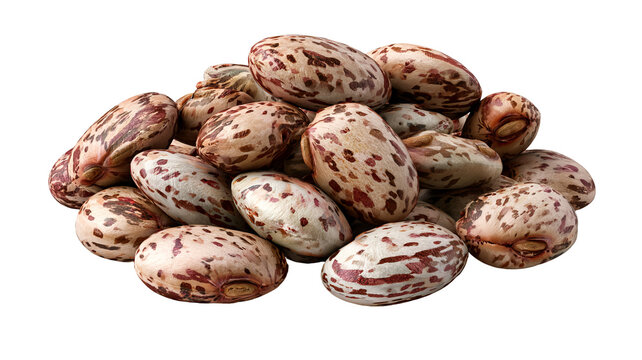 Fresh whole pinto beans with beige speckled skin and detailed realistic texture, isolated PNG on transparent background