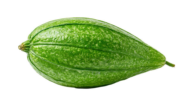 Fresh whole pointed gourd with highly detailed realistic green skin texture, centered isolated PNG on transparent background