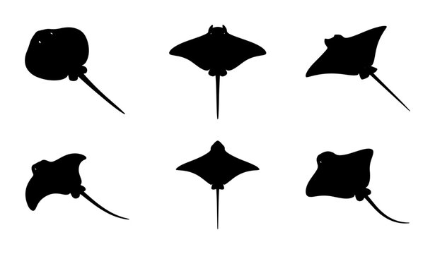 Six Silhouette Stingray Vector Icons, Marine Life Icons, Ocean Creature Silhouettes, Aquatic Animal Graphics, Underwater Wildlife Set, Vector Art Collection