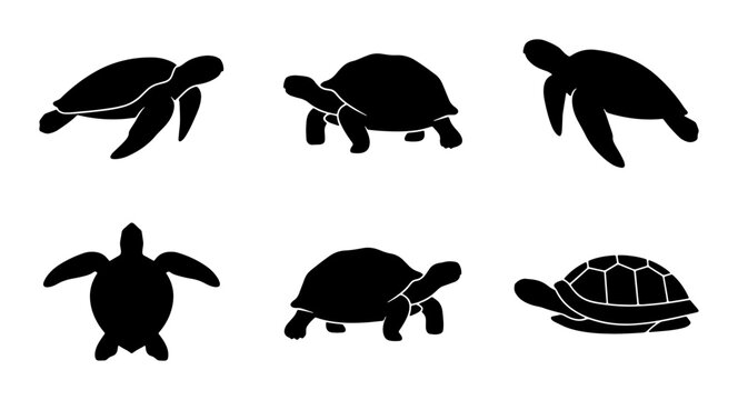 Silhouette Vector Icons of Sea Turtles and Tortoises, Marine Life and Reptile Graphics, Wildlife Animal Collection, Black and White Simple Shapes