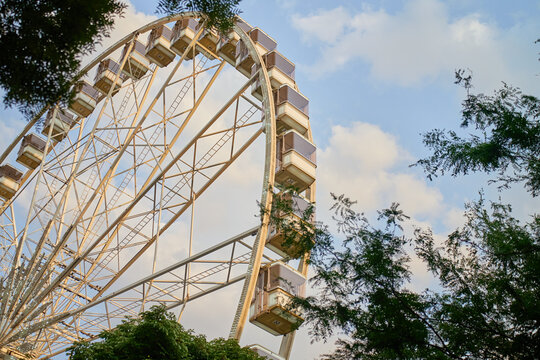 Ferris wheel viewed through trees against blue sky