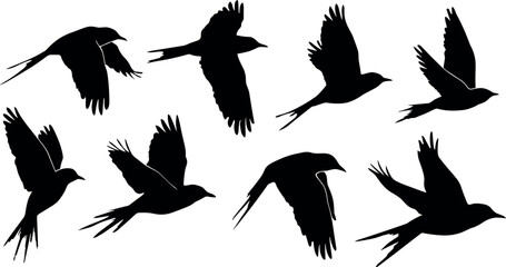Naklejka premium Flying Birds Silhouette Vector Set Featuring Swallows and Crows in Flight Poses for Tattoo Designs, Wall Art, Stickers, and Minimalist Graphic Templates