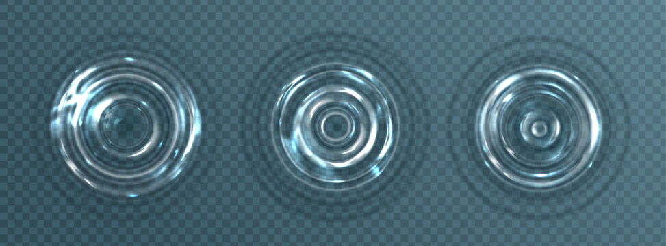 Water ripples on transparent background realistic vector illustration of circular waves