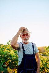 Naklejka premium Happy senior man farmer touching straw hat and smiling in a lush vineyard during golden hour, representing rural lifestyle and agriculture