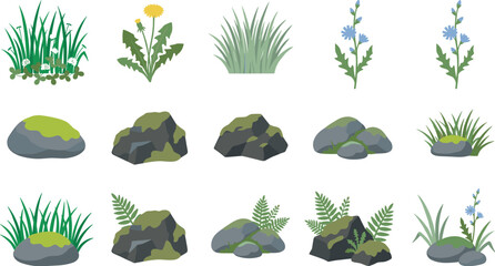 Fototapeta premium Forest Ground and Landscape Element Set Featuring Green Grass Tufts, Dandelion, Chicory Flowers, Mossy Rocks, Boulders, and Fern Fronds