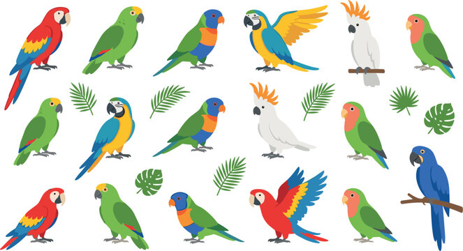 Tropical Parrot and Exotic Bird Flat Vector Icon Collection Featuring Macaw Cockatoo Lorikeet Lovebird and Monstera Palm Leaves for Zoo and Wildlife Designs