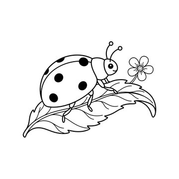 Cute cartoon ladybug with spots resting on leaf with tiny white flower illustration