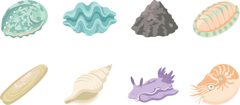 Marine Mollusks Flat Vector Icon Set Featuring Abalone Oyster Chiton Nautilus and Sea Slug