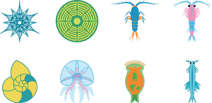 Marine Plankton and Microscopic Sea Life Vector Icons Collection for Ocean Biology Education