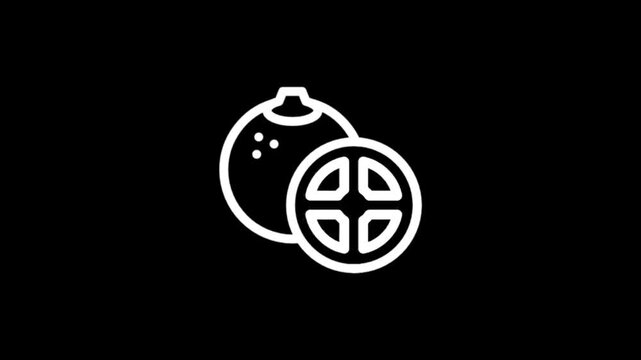 Simple line art animation of a halved lime with seeds and stem