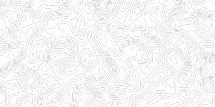White topography map line geometric grid outline curve counter map wavy design. topography relief discovery area black spiral line space landscape texture background.