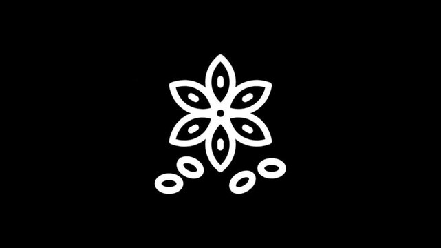 Animated white star anise spice icon on black background