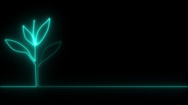 Single continuous neon line art growing sprout animation. Plant leaves seed grow soil seedling eco natural farm concept design one sketch outline animation video.