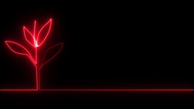 Single continuous neon line art growing sprout animation. Plant leaves seed grow soil seedling eco natural farm concept design one sketch outline animation video.
