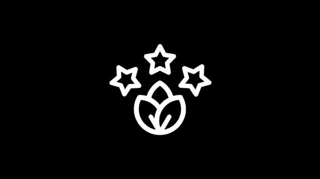 Abstract white icon with stars and leaves on a black background