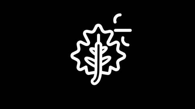 Animated white oak leaf icon on a black background, simple and elegant design
