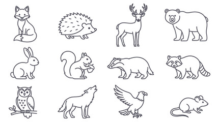 Collection of woodland animal line illustrations on a white background © SERINA AKTHER