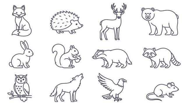 Collection of woodland animal line illustrations on a white background