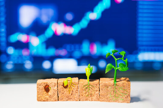 Business growth and stock market investment concept with stages of plant growing in soil cubes against blurred financial candlestick trading chart screen for capital profit development.