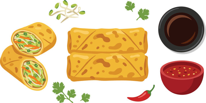 Crispy spring rolls and egg rolls vector set featuring whole pieces, cut halves showing vegetable filling, dipping sauces, bean sprouts, and chili isolated on white background.