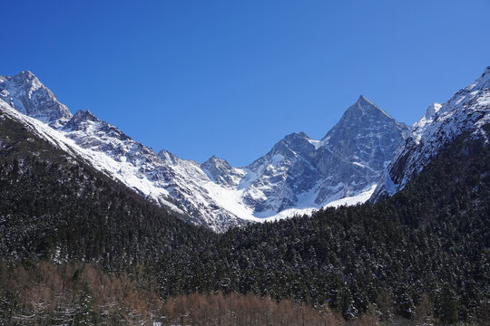 Bipenggou Valley (Bipenggou National Park) is a natural reserve located in northern Sichuan, China