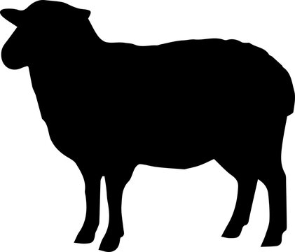 Sheep icon simple animal design element, side view vector isolated on white background.