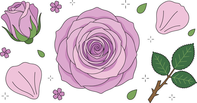 Elegant purple rose botanical vector illustration set featuring a full open flower delicate rosebud falling petals and green leafy stem isolated on white background