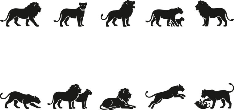 Lion and lioness silhouette collection illustration, wildlife and nature concept, solid black vector design showing majestic animals walking, resting, and playing