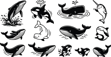 Marine Mammal Silhouette Collection with Whale Dolphin Orca and Narwhal Vector Illustration Set © Mokarrom