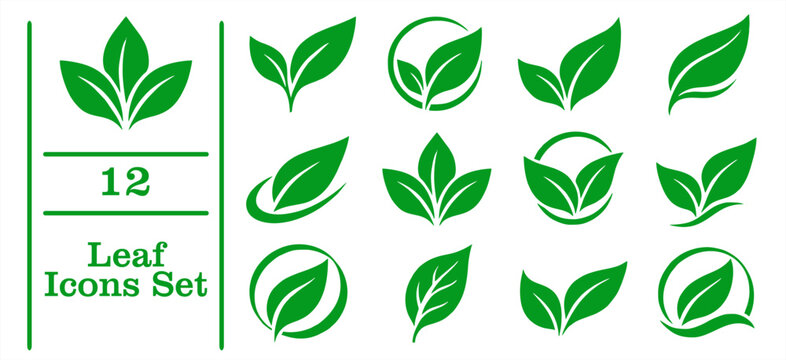 Green leaf eco icons set organic nature elements ecology bio vector symbols for logo design