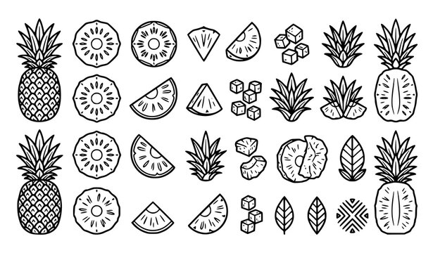 Tropical Pineapple Outline Vector Collection