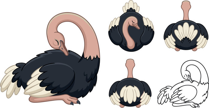 Cartoon Ostrich Bird Character Vector Set with Top View Game Sprites for Kids Mobile Application Assets Zoo Infrastructure Map Elements and Fairytale Illustrations